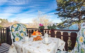 Comfy And Warm Ap With Balcony Surrounded With Beautiful Nature